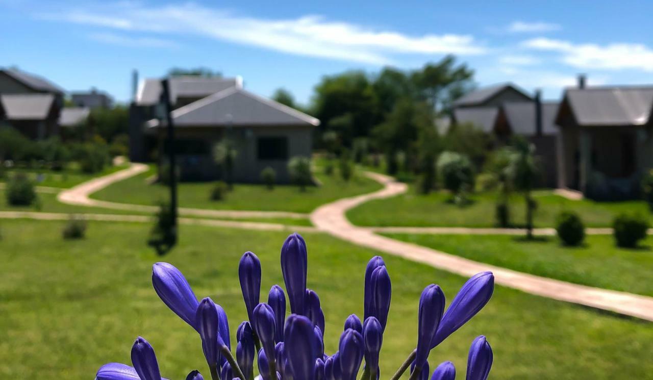 Iguape Aparts & Spa Colón Екстериор снимка